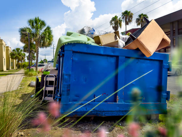 Debris Removal in Pasadena, MD